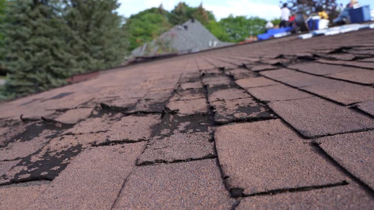 Hot Roofs in Hatch, NM