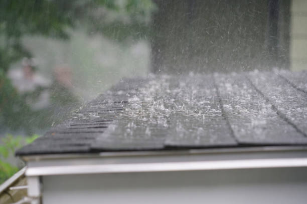 Best Gutter Installation and Repair  in Hatch, NM